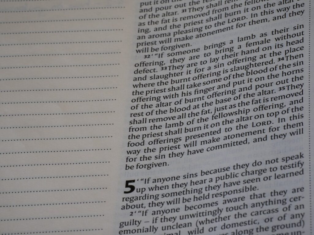 Dicas profissionais para usar o Sonnet 5 é lançado e desafia Opus no mercado de IA com mais resultado - imagem editorial 3
