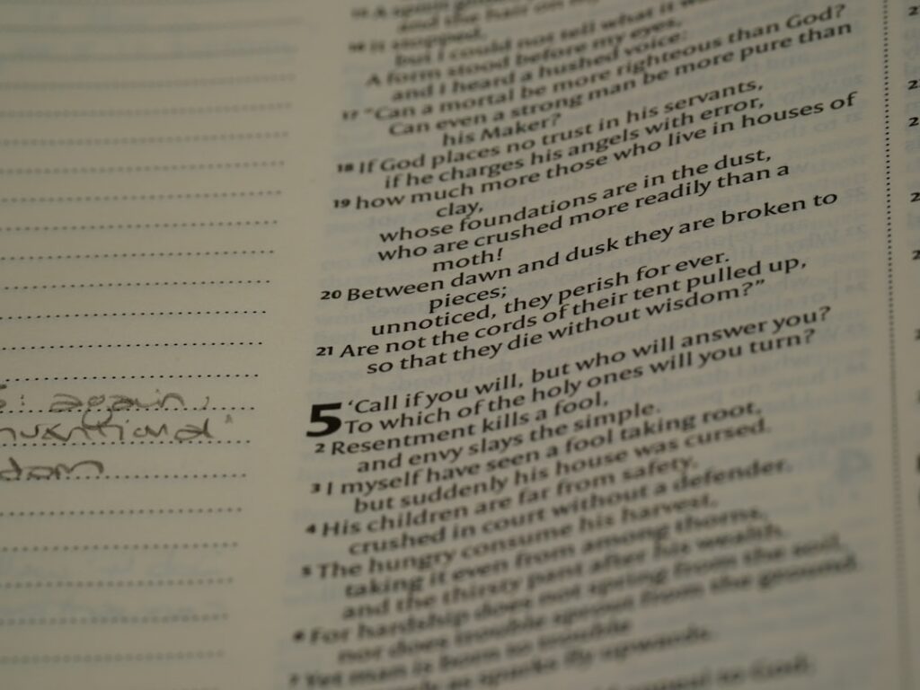 Principais funcionalidades do Sonnet 5 - imagem editorial 1